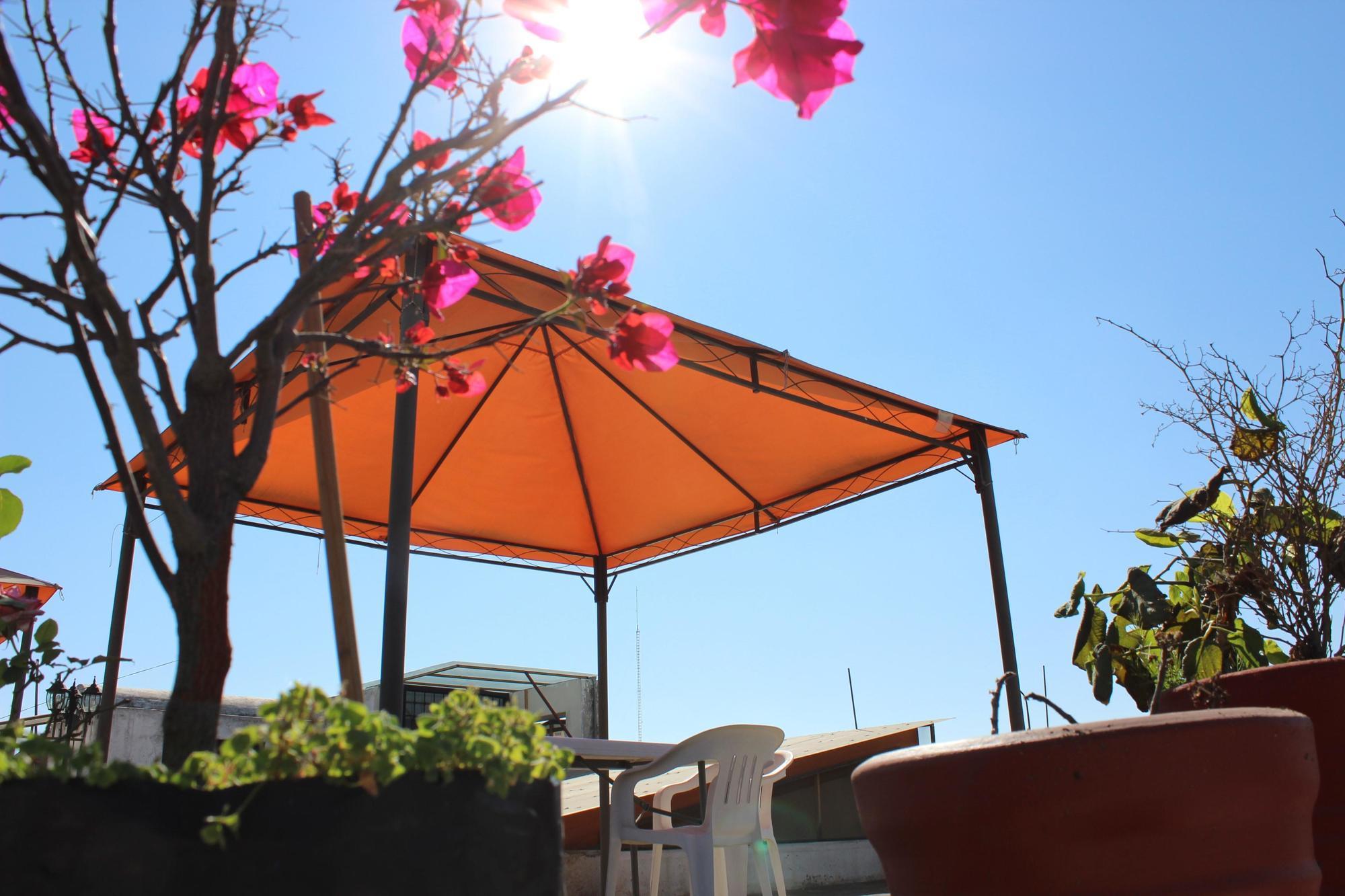 Hotel Oaxaca Magico Экстерьер фото